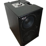Wayne Jones Audio - 1000 Watt 2x10 Powered Bass Cabinet