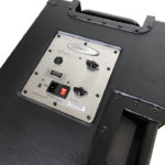 Wayne Jones Audio - 1000 Watt 2x10 Powered Bass Cabinet