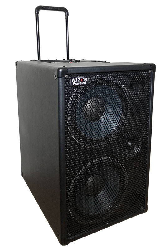 Wayne Jones Audio - 1000 Watt 2x10 Powered Bass Cabinet