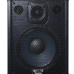Wayne Jones Audio - 500 Watt 1x10 Passive Guitar Speaker